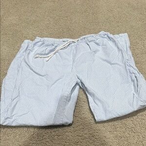 Brandy Melville Blue and White Striped Pants